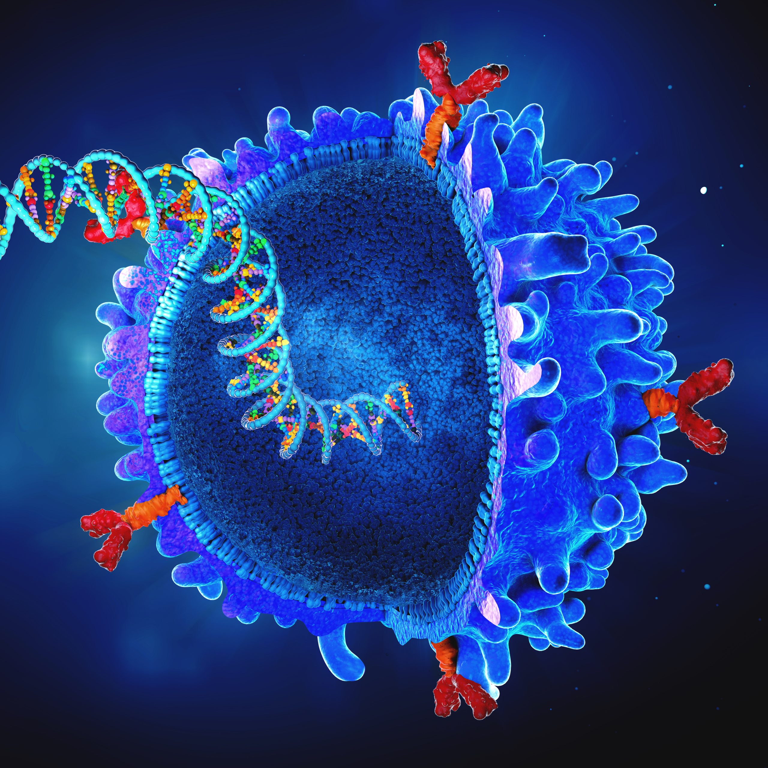 Genetically engineered chimeric antigen receptor immune cell with implanted gene strand - 3d illustration